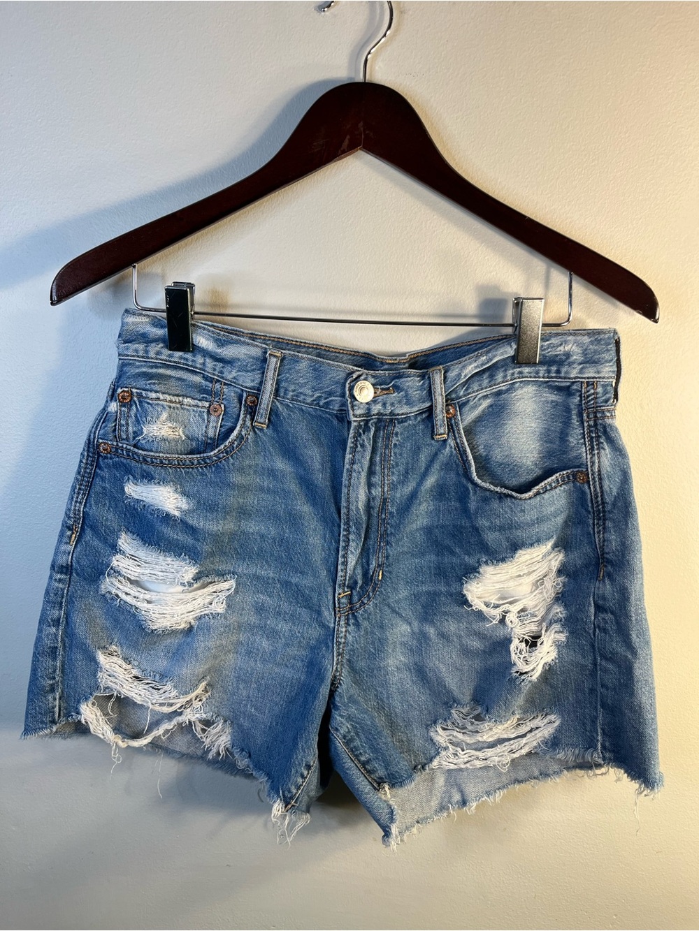 American Eagle Outfitters Blue Distressed Denim Shorts 90’s Boyfriend